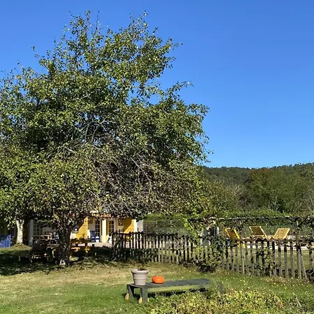 Le Petit Bouleau